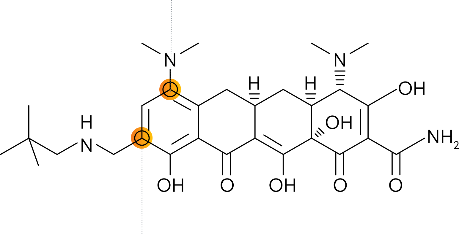 The aminomethylcycline molecule features modifications at the active efflux pump C-7 position and the ribosomal protection protein C-9 position